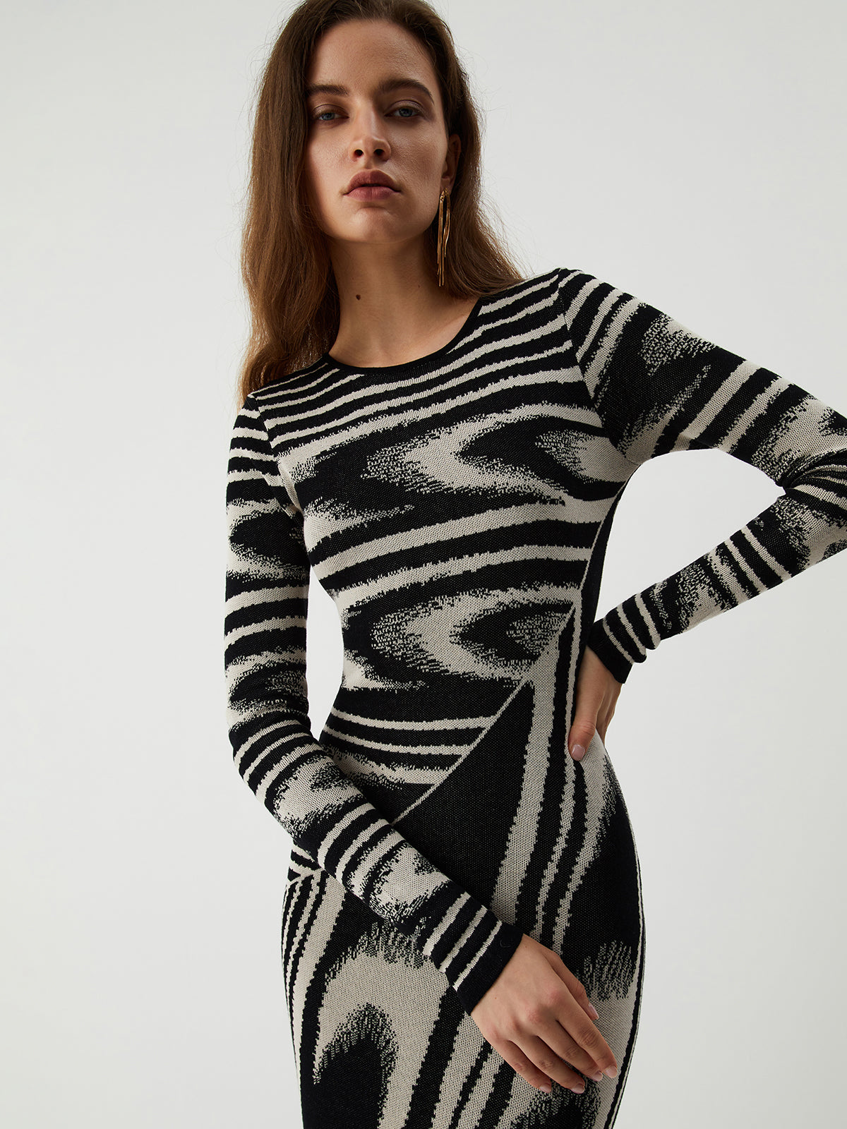 Zebra Print Long Sleeve Sweater Dress