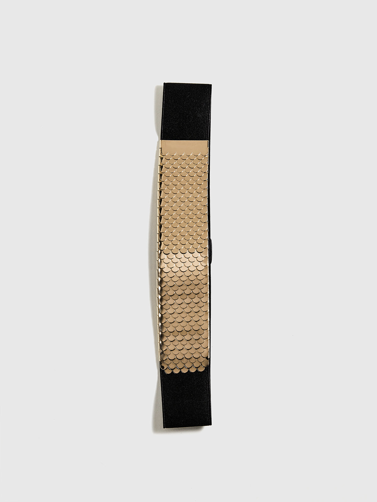 Elastic Fish Scale Belt