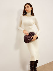 Elegant Turtleneck Panel Sweater Dress